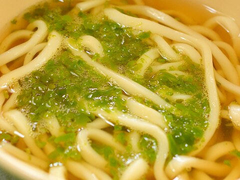 食欲がない時に☆とろとろ♪めかぶうどん